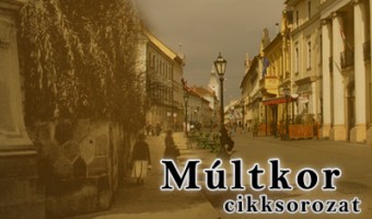 multkorthumb