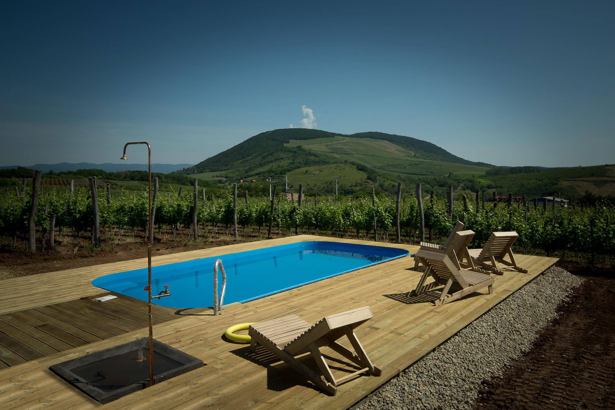 1486151_806962865982295_896799963882422290_o