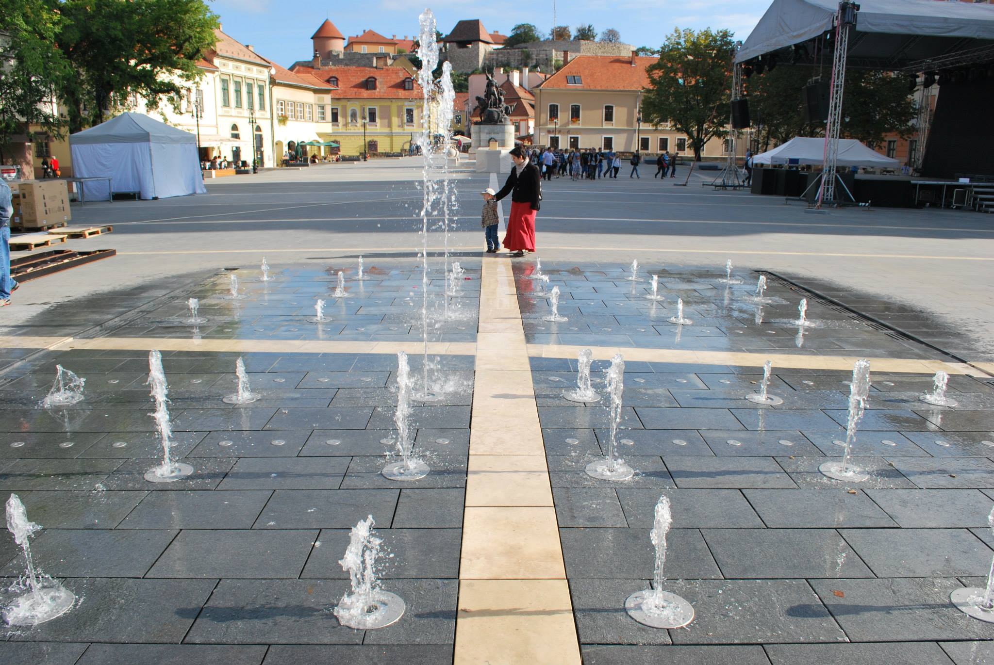 10633934_847373191948890_7131382226394685828_o